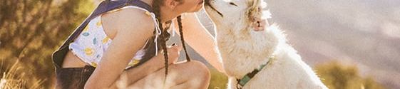 a person kneeling down next to a white dog