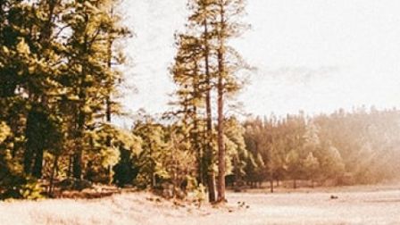 Sandy Seep Trail, Flagstaff area
