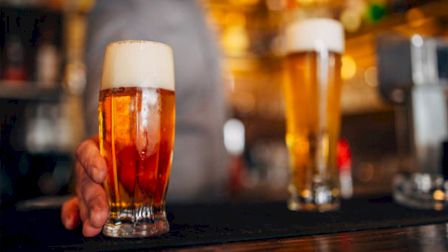 Mother Road Brewing Company, Flagstaff area